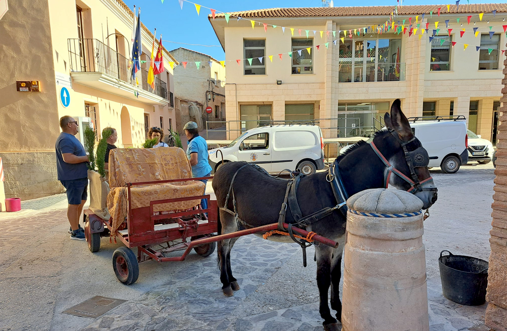Aledo se encuentra inmerso en la celebracin de sus fiestas patronales